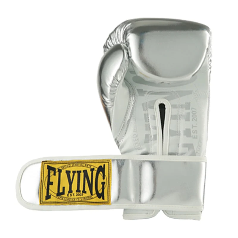 Gants de boxe ARGENT (Pro) – Image 4