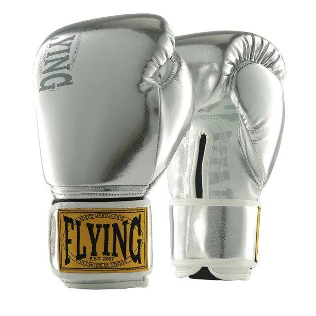 Gants de boxe ARGENT (Pro) – Image 2
