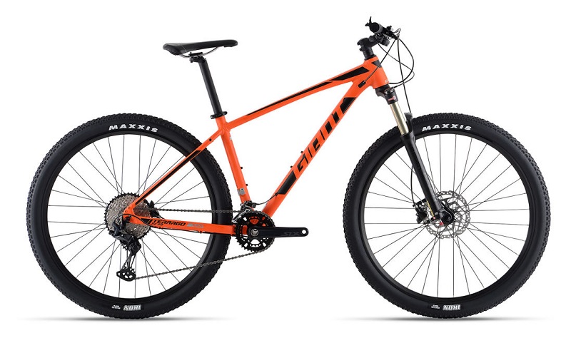 GIANT TERRAGO 29 2 2020 – Image 2